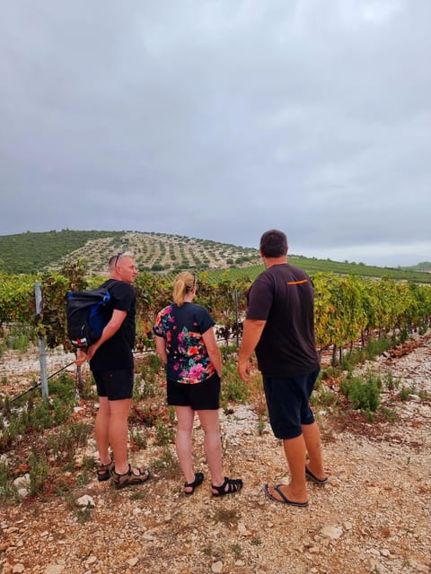 Korcula: Buggy Safari with Local Food and Wine Tasting - Lumbarda’s sandy beach and a welcome pause