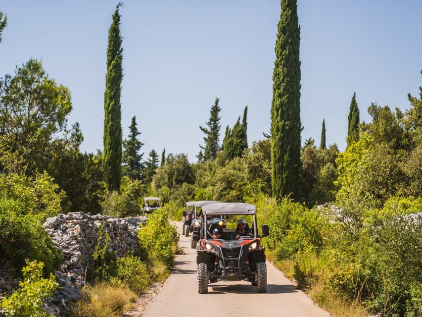 Korcula Buggy Safari With Wine Tasting - Key points to know before you book