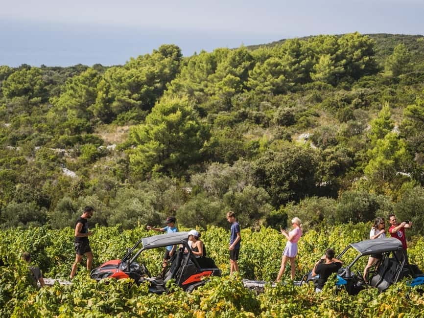 Korcula Buggy Safari With Wine Tasting - Who will enjoy this buggy safari most?