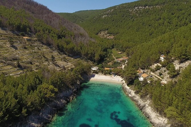 Korcula Island Mountain E Bike Private tour with lunch - Guides who shape the experience