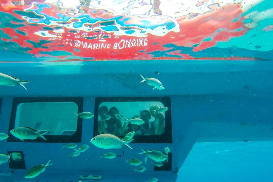 Korcula: Semi-Submarine Tour - Should You Book the Korcula Semi-Submarine Tour?