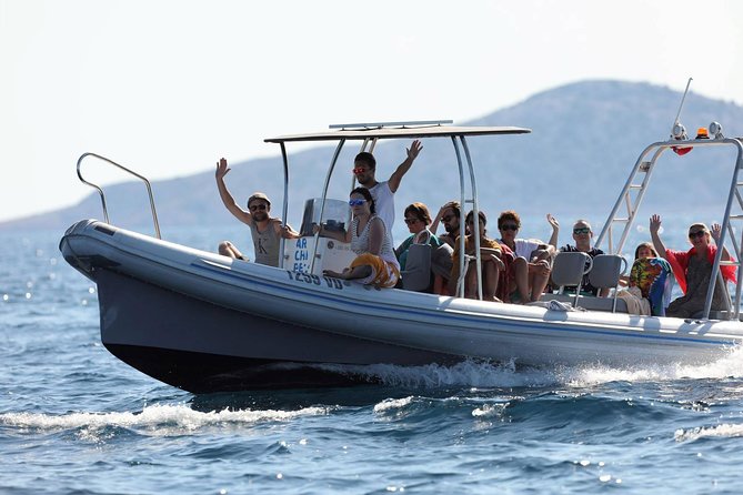 Kornati Experience small group (12 pax) boat tour - Who will enjoy this day most?