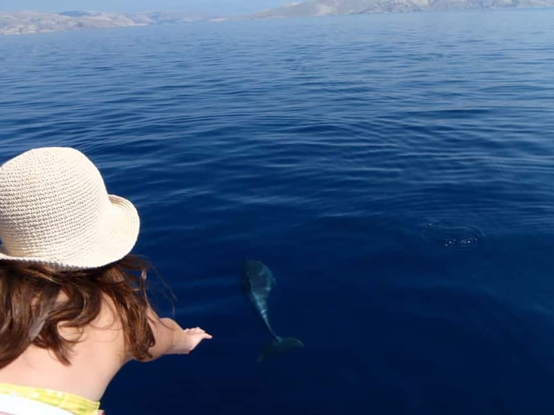 Krk:Rab & Pag Boat Trip with Swimming & City Tour with lunch - Starting at the MB Tajana in Krk