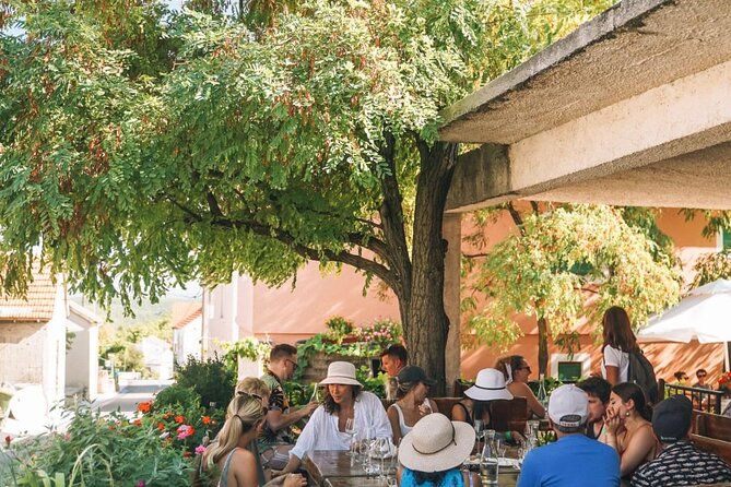 Krka Waterfalls, Food & Wine Tasting, Boat Ride & Zadar Old Town - Tasting four wines at Sladic Winery