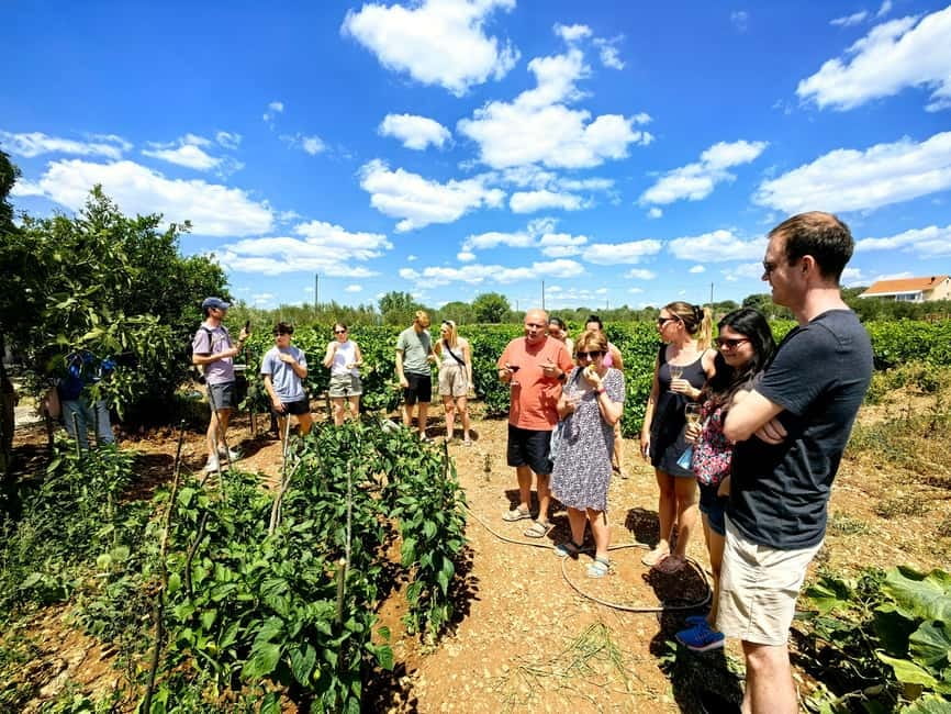 Krka waterfalls tour with lunch from Split - The return to Split and the pace of the day