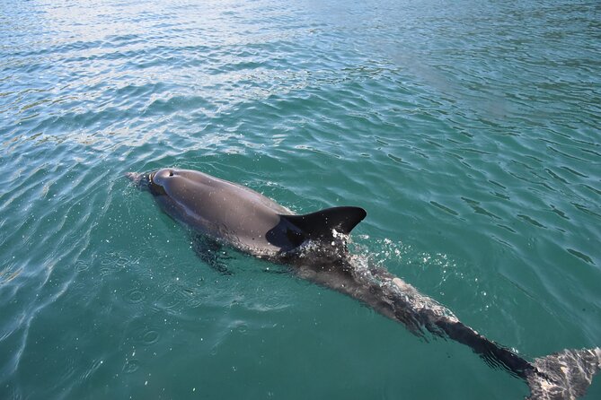 Lim Bay Outrigger Canoe Tour - What Makes Lim Bay Special