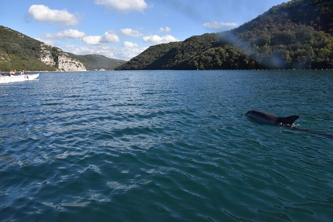 Lim Bay Outrigger Canoe Tour - Finishing with Istrian Specialties