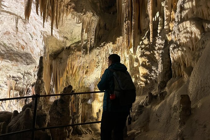 Ljubljana, Postojna Cave&Predjama Castle with Tickets from Zagreb - Who should book this experience?