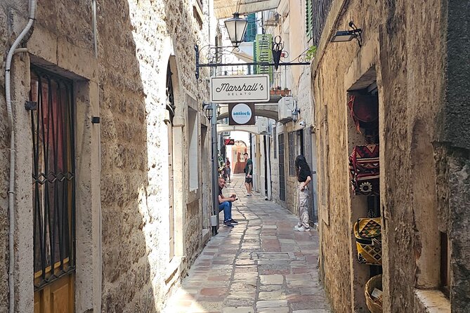 Luxury Day tour to Montenegro - Who should book this day trip?