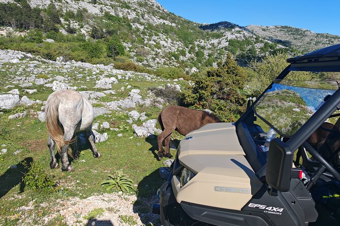 Makarska: Baggy Skywalk & Biokovo viewpoint Tour - Why the buggy matters on this mountain road