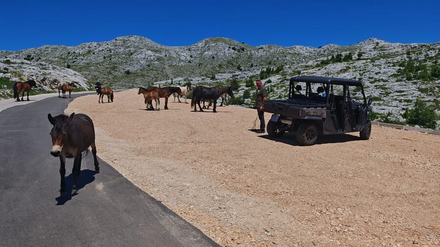 Makarska: Buggy Skywalk and Biokovo Tour - FAQ