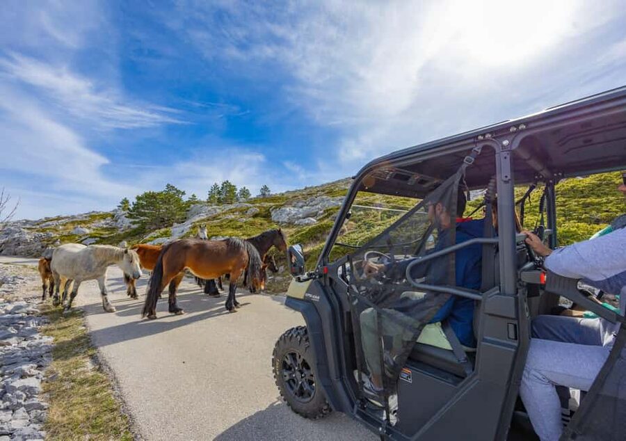 Makarska: Buggy Skywalk and Biokovo Tour - The picnic with homemade Dalmatian food