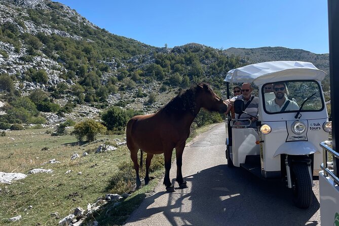 Makarska: Skywalk Tour with a Tuk Tuk - Skip the line ticket - Stepping onto Skywalk Biokovo at 1,228 meters