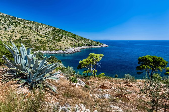 Mesmerizing Hvar speed boat tour with optional wine tasting - Sveta Nedjelja pairs local food with an unusual cellar