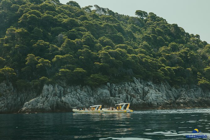 Mljet National Park trip - Pure Nature & Island Escape - Why Mljet makes a fine day away from Dubrovnik