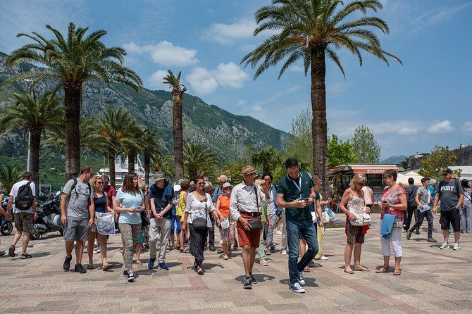 Montenegro: Bay of Kotor Day Trip from Dubrovnik English -Español - Why the Bay of Kotor makes a strong day trip