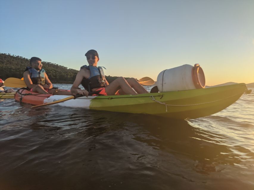 Morning Split Sea Kayaking Tour - When morning conditions matter