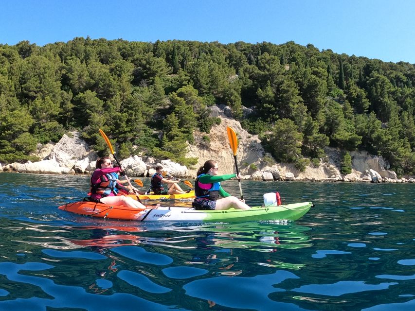 Morning Split Sea Kayaking Tour - What the guides add to the outing