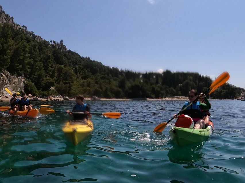 Morning Split Sea Kayaking Tour - What $58 gets you