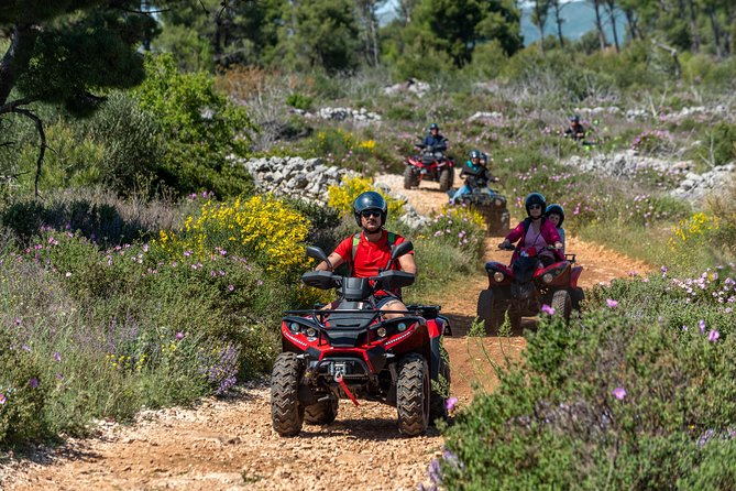 Off road Quad Adventure Tour on Island Čiovo - How much value do you get for $90.74?