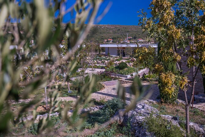 Olive museum Klis with educational olive oil tasting - What the $17.98 price delivers