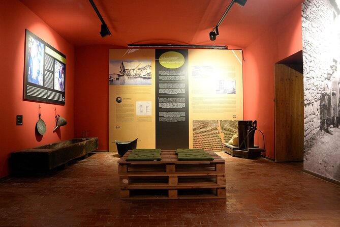 Olive Oil Guided Tasting and History in Pula - Learning the Language of Olive Oil