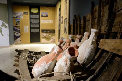 Olive Oil Guided Tasting and History in Pula