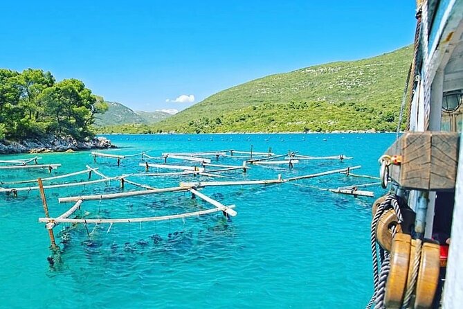 Oyster farm experience / Private day trip from Dubrovnik - Five things to know before you book