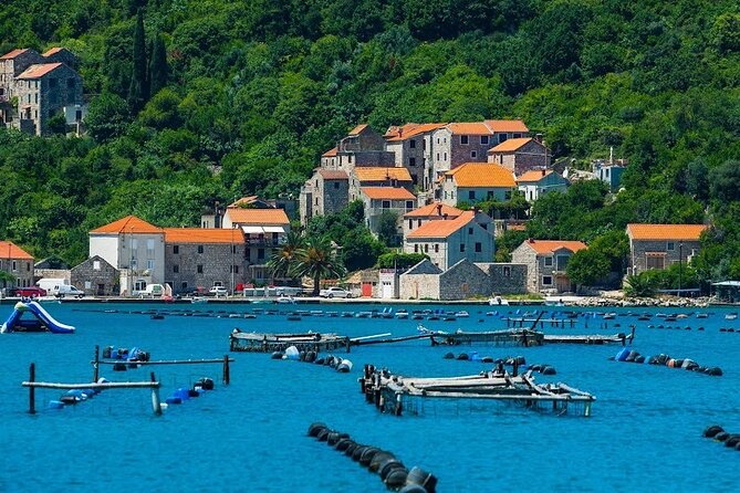Oyster farm experience / Private day trip from Dubrovnik - From Dubrovnik to the hills above Majkovi