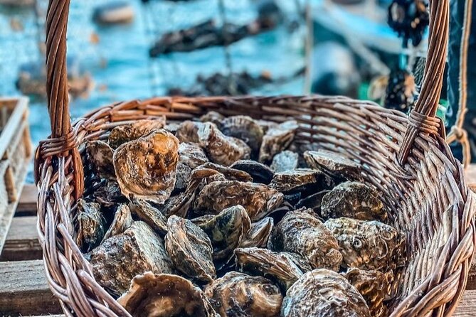 Oyster farm experience / Private day trip from Dubrovnik - Is this Dubrovnik oyster tour worth booking?