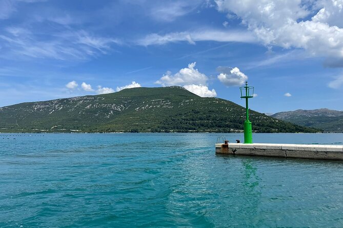Oysters and mussels tasting with wine in Ston and Pelješac - Why this Dubrovnik food tour is different