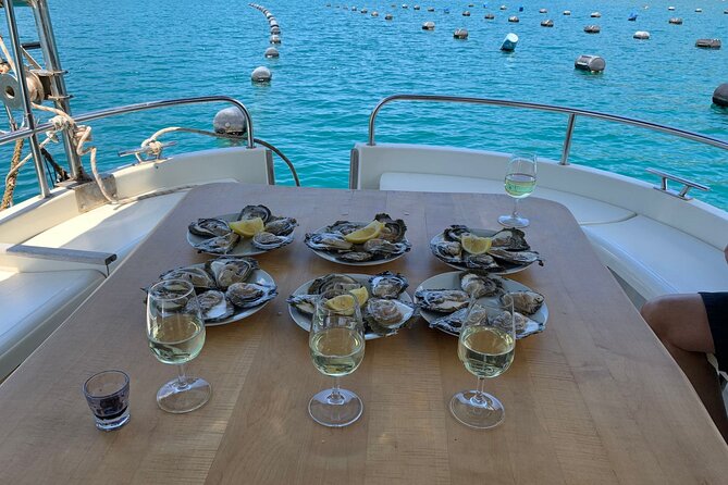 Oysters and mussels tasting with wine in Ston and Pelješac - Hodilje and the family shellfish farm