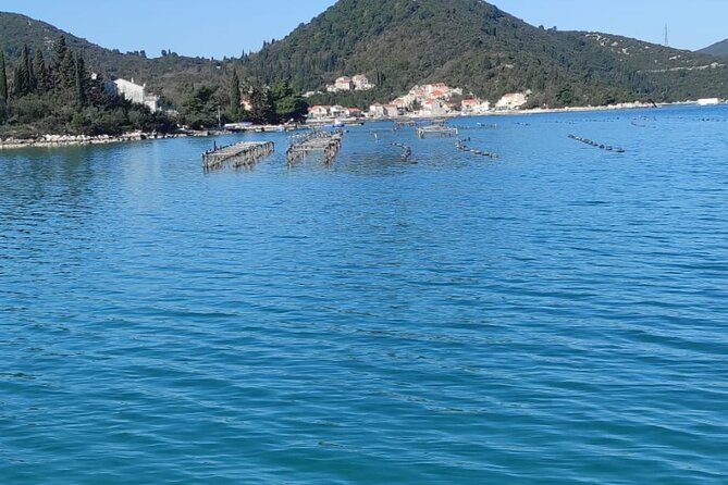 Oysters and mussels tasting with wine in Ston and Pelješac - Leaving Dubrovnik at 10 in the morning