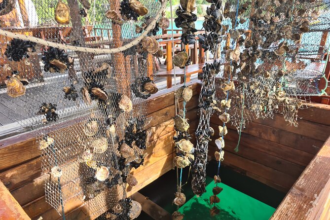 Oysters & Wine Tour From Dubrovnik (Small Group) - Quick points before you book