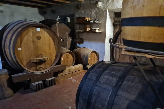 Oysters & Wine Tour From Dubrovnik (Small Group) - Who will enjoy this tour most?