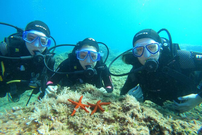 PADI Discover Scuba Diving in Dubrovnik - Learning the basics at Blue Planet Diving Center