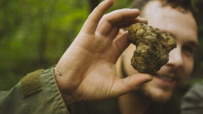 Paladini: Truffle Hunting Tour with 3-Course Tasting Menu
