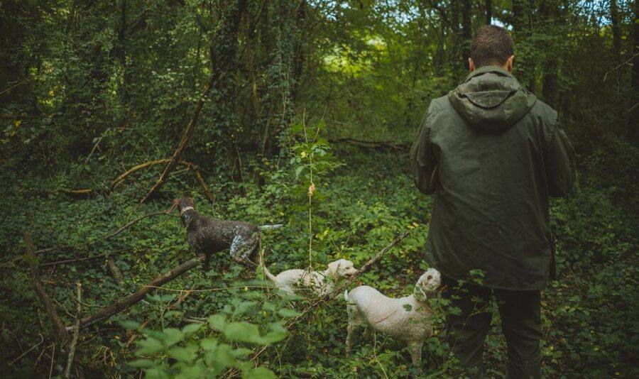 Paladini: Truffle Hunting Tour with 3-Course Tasting Menu - Dessert With a Croatian Truffle Twist
