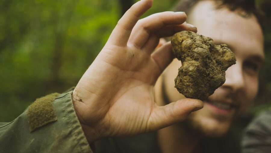 Paladini: Truffle Hunting Tour with 3-Course Tasting Menu - The First Stop: Croatia’s Black-Truffle Plantation
