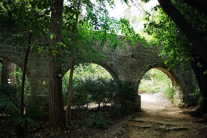 Panorama Dubrovnik & Arboretum Trsteno PRIVATE TOUR - Timing, Pace, and Weather