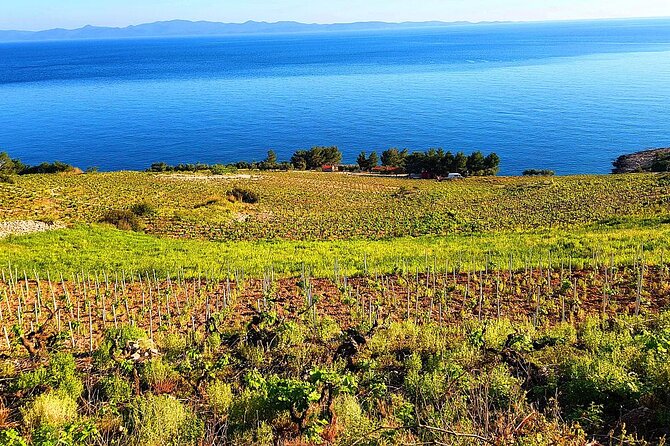 Peljesac and Ston Private Wine Tour with Tastings from Dubrovnik - Potomje and the Main Wine Tastings