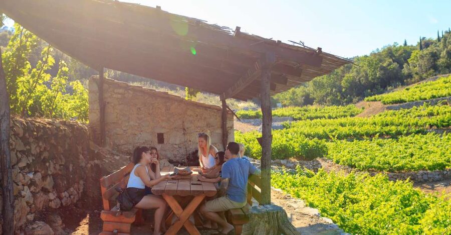 Pelješac Full-Day Wine and Food Tour from Dubrovnik - What makes this Pelješac day trip special