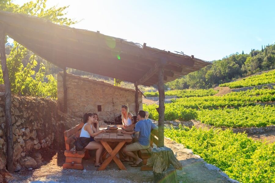 Pelješac Full-Day Wine and Food Tour from Dubrovnik - Mali Ston oysters, straight from the water
