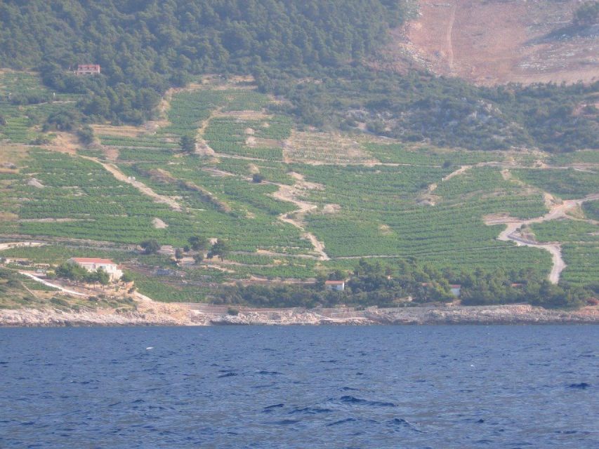 Peljesac Peninsula & Korcula Island Day-Trip from Dubrovnik - Who should choose this Dubrovnik day trip?