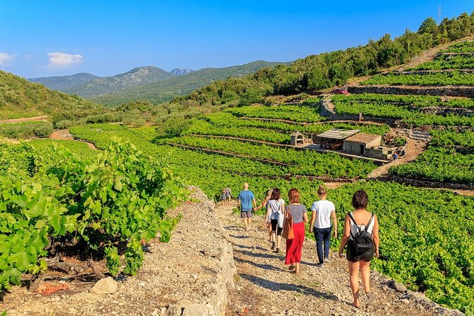 Peljesac&Ston Small-Group Food & Wine Experience from Dubrovnik - Key points at a glance