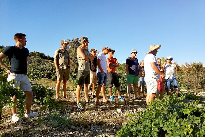 Peljesac&Ston Small-Group Food & Wine Experience from Dubrovnik - What the $264.32 price includes