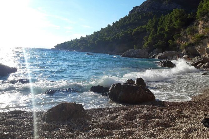 Pelješac Wine, Beach and Lunch - Relaxing Tour from Dubrovnik - Ćurlin Winery: a small cellar and direct contact