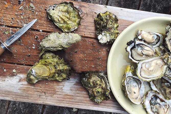 Peljesac Wine & Ston Oysters PRIVATE HALF DAY SHORE TOUR - Mali Ston: oysters straight from the bay