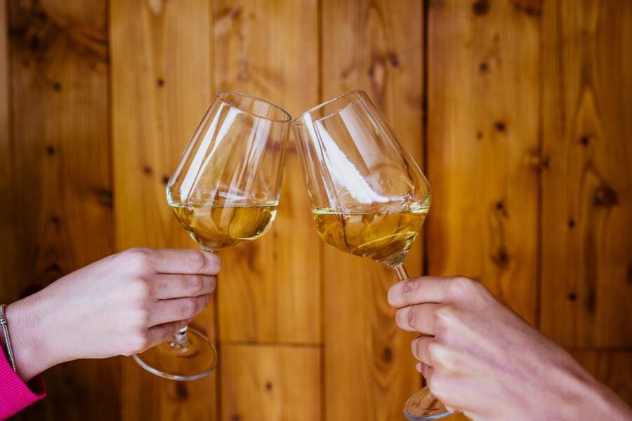 Pelješac wine tasting and local winery visit - Key points at a glance
