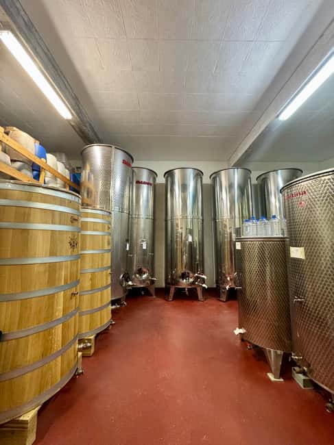 Pelješac wine tasting and local winery visit - A short tour of the production area